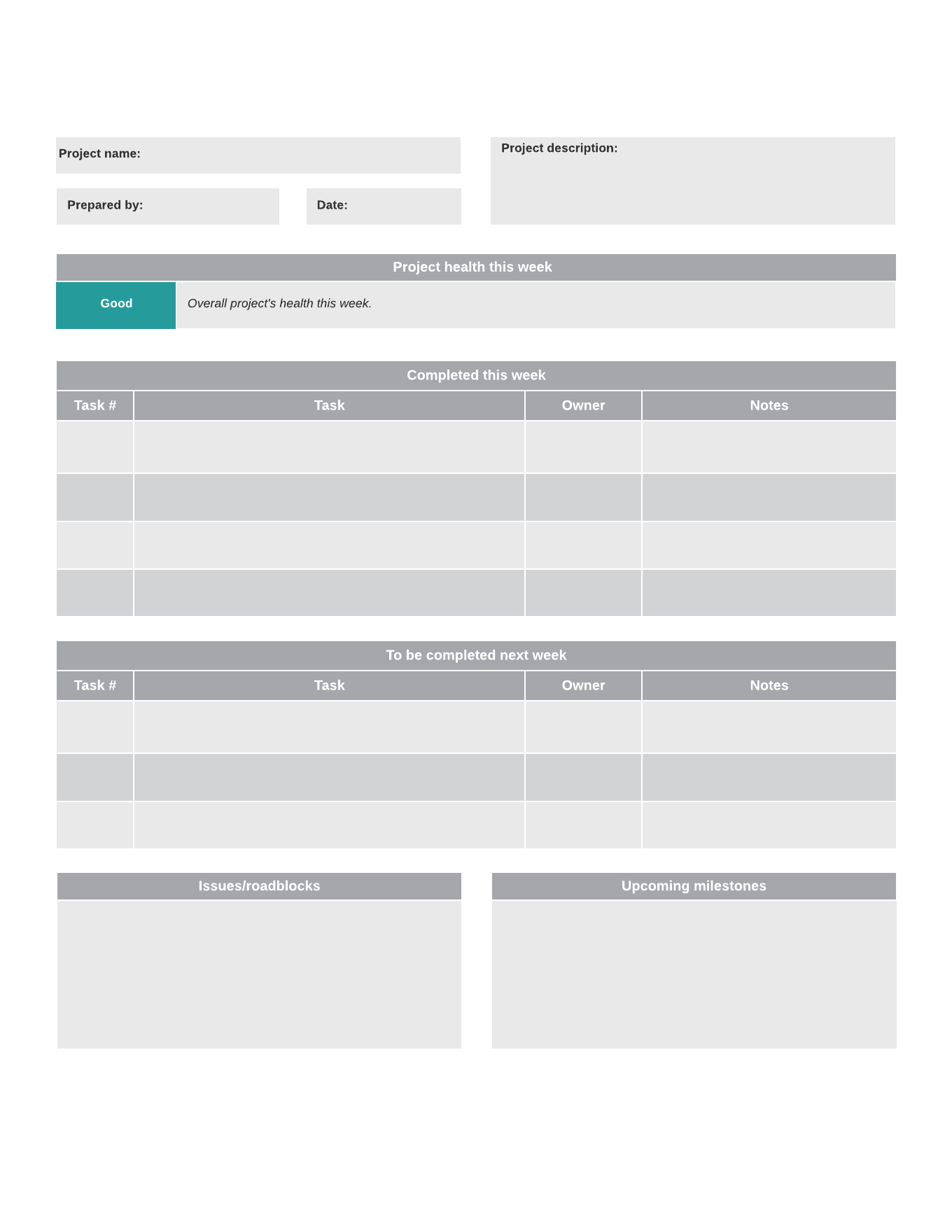 weekly project status report